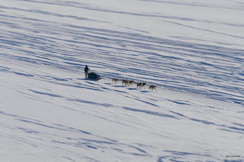 DRONE_MELINA - Grande